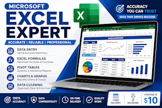 be your professional microsoft excel expert