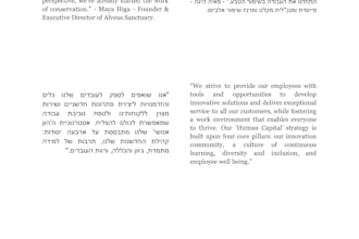 translate anything you need between english and hebrew