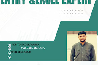 provide high quality data entry and data cleaning