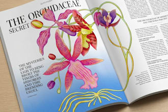 create bespoke editorial illustrations for luxury magazines and publishing