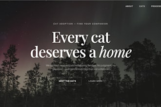 build a custom website for your business with a free preview