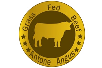 design specialist modern antone angus logo