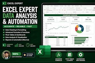 create excel reports, data entry and analytics