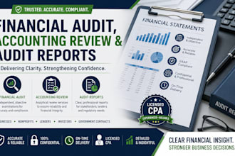 provide professional financial audit, accounting review and audit reports