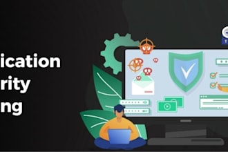 perform a professional website vulnerability assessment and security audit