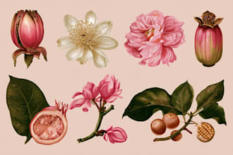 create a botanical illustration in the traditional watercolor technique