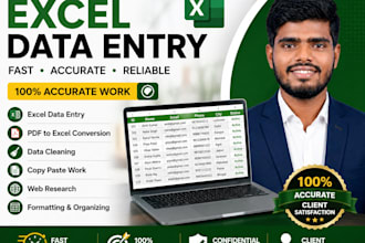 do accurate excel data entry, copy paste, PDF to excel conversion, and data clea