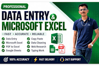 do professional data entry, excel and copy paste work