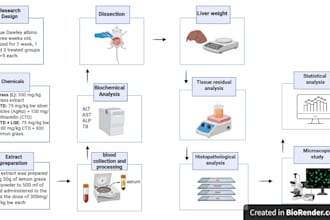 create a scientific graphical abstract using biorender