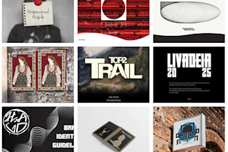 design a professional logo and brand identity kit