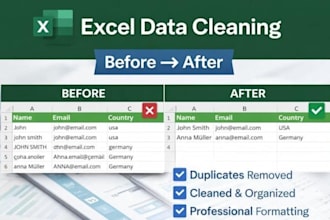 clean, format and organise your excel data professionally