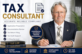 provide professional tax law consulting and tax document drafting