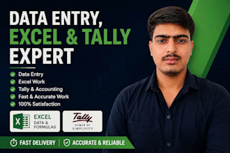 do professional data entry, excel and tally accounting work