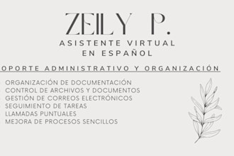 organizaré y actualizaré tus hojas de excel