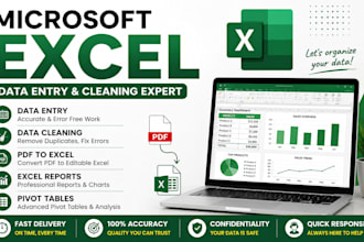 microsoft excel data entry, cleaning, formatting and reports