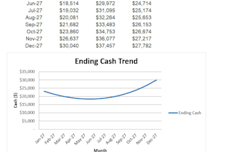 build dynamic budget and cash flow models for your business