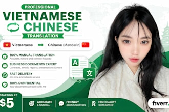 translate vietnamese to chinese and chinese to vietnamese