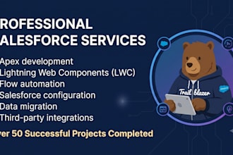 be your expert salesforce developer and admin