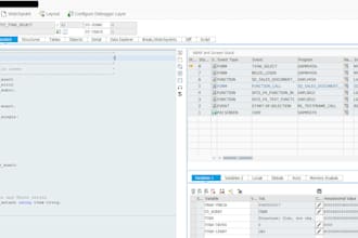 , debug and develop your sap abap oo programs and teach