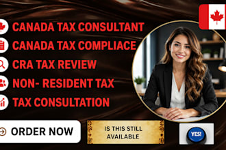 provide annual canadian tax compliance review for non resident partnerships
