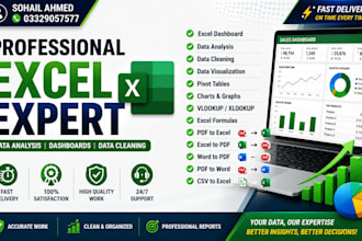 do microsoft excel data cleaning, formulas, dashboards and reports