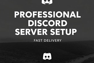 build you a professional discord server