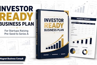 write an investor ready business plan for startups
