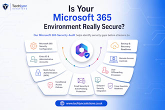 provide microsoft 365 security audit and consultation