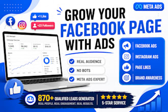 create facebook ads campaign to grow your fb page likes
