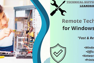 provide remote tech support for windows and office
