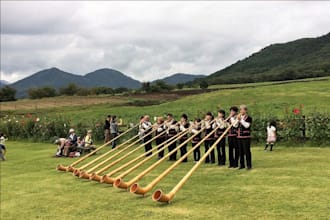record trumpet, trombone, tuba, flugelhorn, french horn, sousaphone, and alphorn