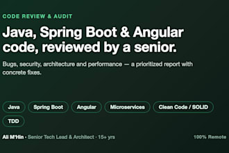 review and audit your java, spring boot or angular code