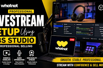 set up your whatnot livestream using obs for professional selling