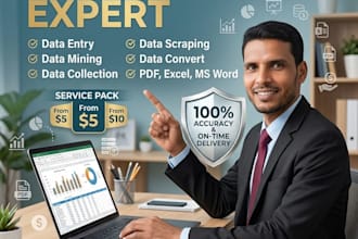 provide expert data entry excel data collection