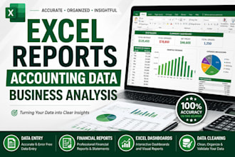 manage excel reports, accounting data and business records