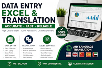 do accurate data entry, excel, copy paste and web research