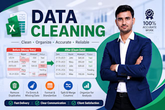 do professional excel data cleaning