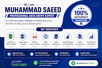 do professional data entry and excel data typing