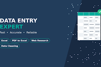 do excel data entry and PDF conversion