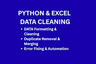 do python data cleaning, excel data entry, and formatting