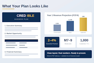 write a professional and investor ready business plan