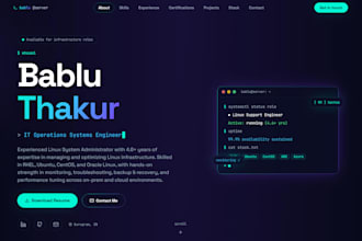create a professional portfolio website