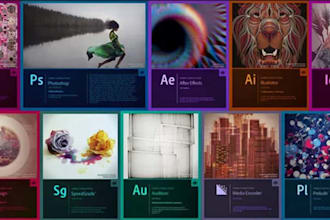 install adobe  illustrator, indesign, lightroom, animate, dreamweaver, prelude
