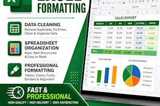 clean ,format and organize microsoft excel data