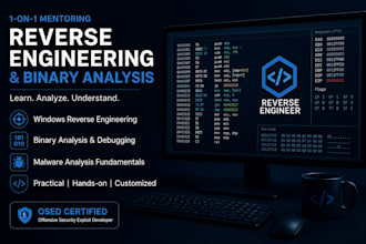 teach windows reverse engineering and binary analysis 1 on 1