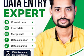 do data entry, copy paste, data scraping, pdf to excel data