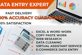 do expert data entry, copy paste, and excel data entry as your virtual assistant