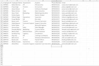 do data entry, typing and word expert