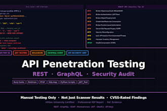 perform API security testing and vulnerability assessment