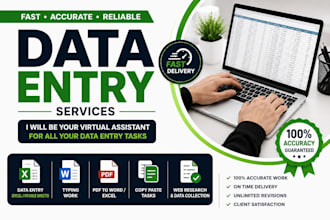 data entry, copy paste and excel data services